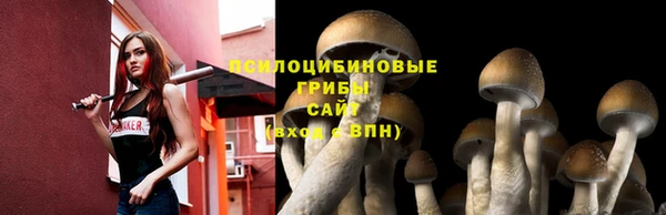 спиды Покачи